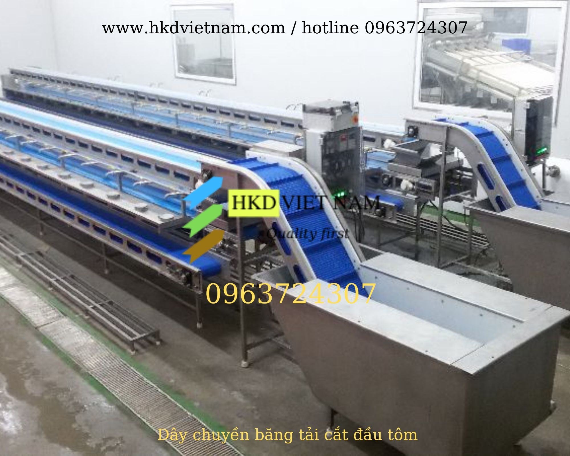 Băng tải thủy sản sơ chế tôm