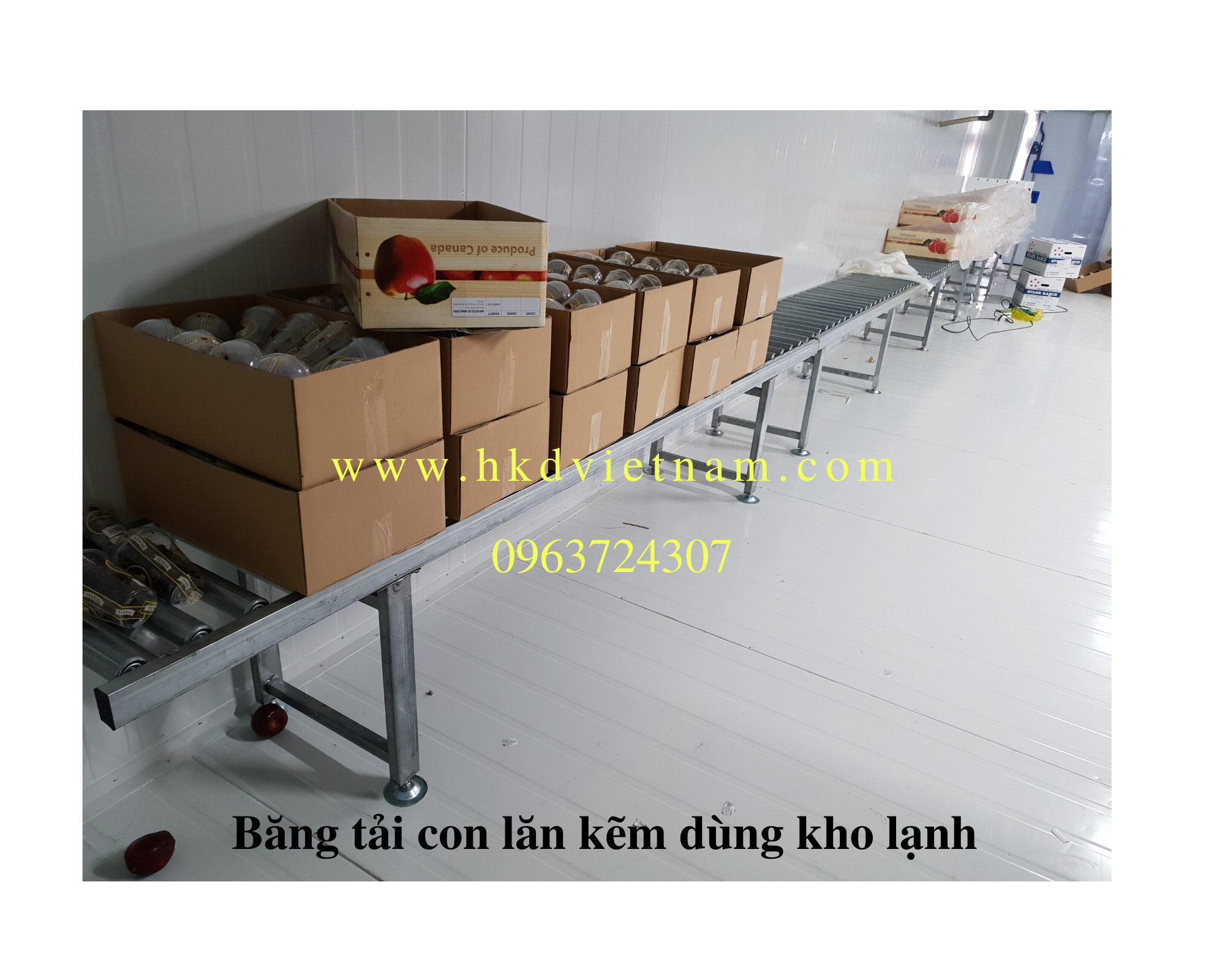 Thang băng tải con lăn